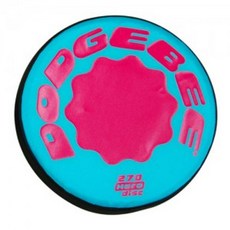 돗지비플라잉디스크