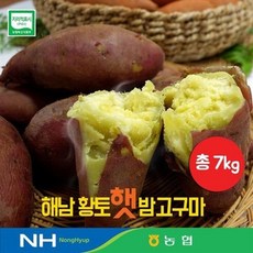 화산농협해남황토밤고구마