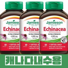 고효능 에키네시아 4000mg 면역기능증진 하루1정 3세트 1통60캡슐 자미에슨 캐나다직배송