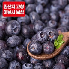 싱싱한 고창 블루베리 생과, 1kg