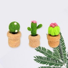 양모펠트선인장