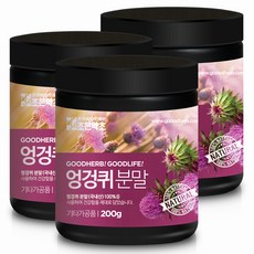 엉겅퀴