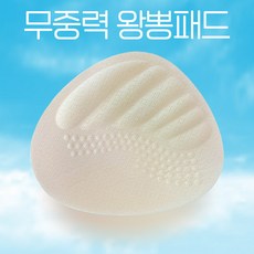 일체형뽕