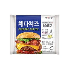 아기리코타치즈