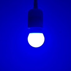 호강조명 LED 인치구 미니전구 5W E26 5개입, 1개, 청색