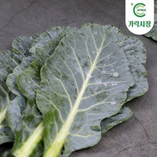 [온도씨] 가락시장 쌈케일 300g, 1개, 상세 설명 참조