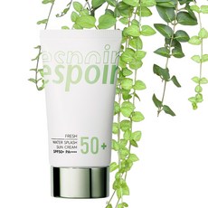 에스쁘아워터스플래쉬쿠션