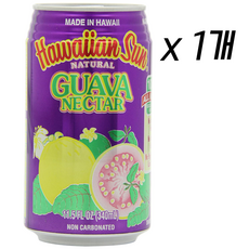 Hawaiian Sun 하와이안 썬 넥타 구아바 음료 드링크 340ml, 1개