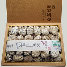 장흥한라농장 유기농 표고버섯선물세트 참나무원목 표고버섯, 1세트, 유기농 백화고 400g