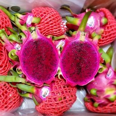 [미스터과일왕] 베트남 레드 용과 흰색 백용과 적용과 2.5kg 5kg (Dragon Fruit), 1박스, 레드 적용과 5kg (9-10과)