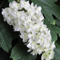 8ede7a5f390eb864f7426a966b648ae2fe580b6fa83ecb68b689b71d4746.jpg