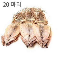//상품명