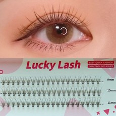 엘스몰럭키래쉬