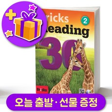 브릭스30