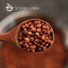 국산 볶은 피수수 500g 피수수차 통 수수차, 1개