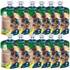 Gerber 거버 오가닉 세컨푸드 99g(3.5oz) 12팩 Organic 2nd Foods Baby Food Oatmeal 12 count, 1개, 라이스