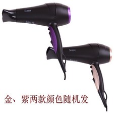 드라이기 가정용전기 바람 미용실 대출력 뜨겁고찬바람 개인 전자기기, T01-금 보라색 랜덤 DW-1301