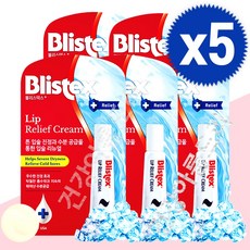블리스텍스 립케어 립 릴리프크림 립밤 튼입술보호제 립글로스, 5개, 6ml