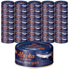 동원 알래스카연어 살코기 통조림 100g, 36개