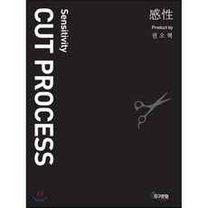 [지구문화사]Cut Process(커트 프로세스)(Sensitivity)(CD1장포함)