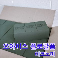 오아시스 이코노미 벽돌형 1박스 20개/꽃꽃이스펀지, 20개