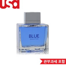 안토니오 반데라스 블루 시덕션 100ml 남성 상세설명, 1개