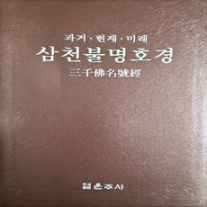 NSB9788957461761 새책-스테이책터 [삼천불명호경] -과거.현재.미래--운주사-김시열 지음-불교 경전/법문-20061020 출간-판형 188x, 삼천불명호경