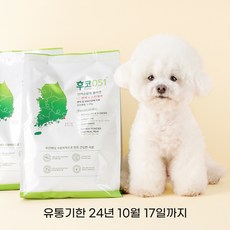 바우와우 강아지 후코이단사료 연어순살과 콜라겐 후코051+ 면역 앤 스킨케어 1.2kg, 1개 - 후코아이