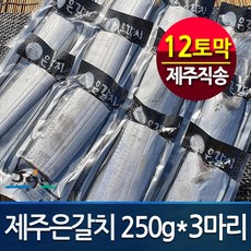 [제주직송 정품] 제주은갈치250gx3마리(총12토막) 프리미엄 갈치, 1개