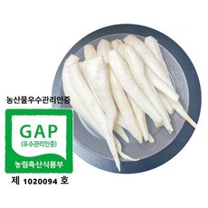 강원도 홍천산 깐더덕, 500g (1개), 1개