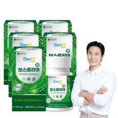 베오비 보스웰리아정 750mg 30정 5박스, 5개
