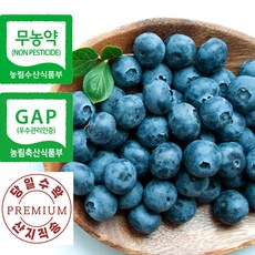 [장산농장] 무농약 GAP 인증 국내산 유기농 맛있는 생 블루베리 생과 중과 1Kg