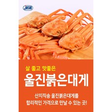 울진 붉은대게, 프리미엄 - 5마리
