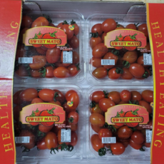 월산식품 [최상품] 스테비아 레드토마토 500g 1kg 2kg 레드 스윗마토, 4개