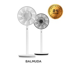 발뮤다그린팬s