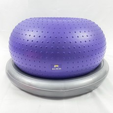  강아지 짐볼 밸런스볼 재활운동 발란스 슬개골운동 펫피트니스 운동기구 반려견 탈구 예방, 퍼플 