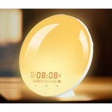 탁상시계뉴라이프챌린지 TOP01