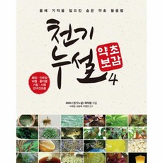 이노플리아 천기누설 약초보감 4 폐 이비인후과질환편, One color | One Size@1