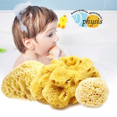 그리스해면스펀지