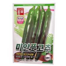 미인풋고추모종