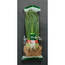 기능성농산봉투