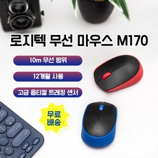 로지텍m170
