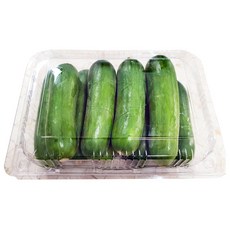 그린몬스터즈