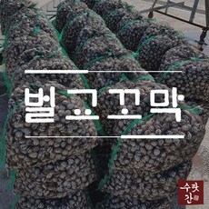 //상품명