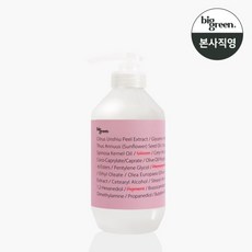 빅그린 임산부 헤어 트리트먼트 500ml, 1개