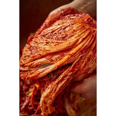 전라도 배추김치 "대통령수상" 모든 재료 100% "국내산" 30년 전통 명인이 매일 담는 생김치