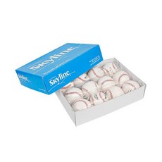 CGH082238연습공 야구공 스카이라인 연습야구공 12p 시합볼
