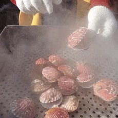 대한민국농수산가리비