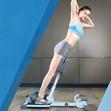 비스펙 로만체어 백익스텐션 허리 코어 레이크 스쿼트