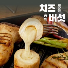 캠핑밀키트 추천 버섯 구이 2팩(6송이) 치즈 품은 새송이버섯 치품송